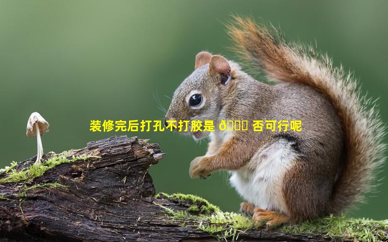 装修完后打孔不打胶是 🐛 否可行呢